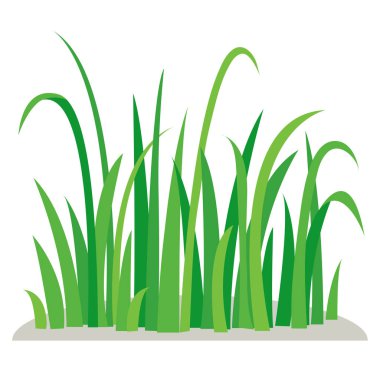 Yeşil çim parçası. Doğa unsuru. Vektör çizim.