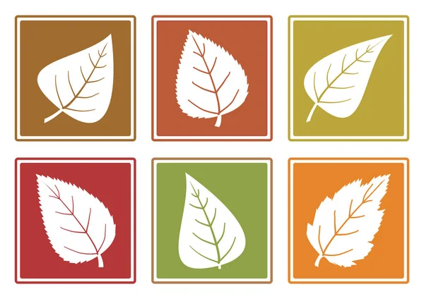 Ensemble Coloré Icônes Feuilles Différentes Feuilles Silhouettes Blanches Illustration Vectorielle — Image vectorielle