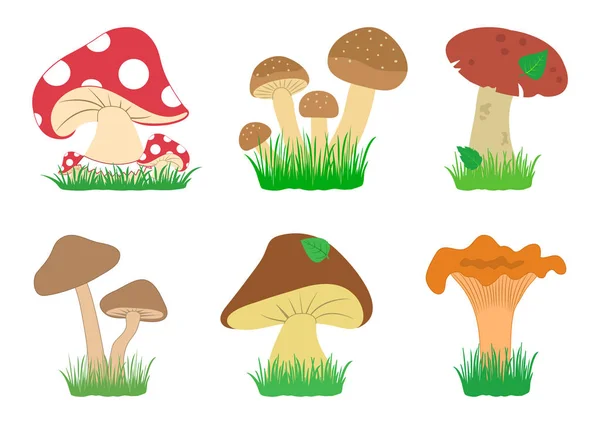 Serie Funghi Nell Erba Funghi Diversi Illustrazione Vettoriale — Vettoriale Stock