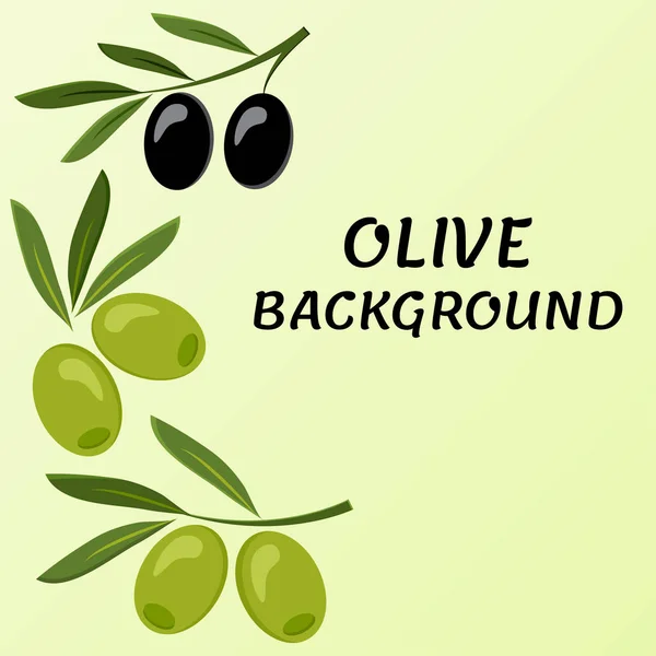 Olive Achtergrond Tak Van Zwarte Groene Olijven Vectorillustratie — Stockvector