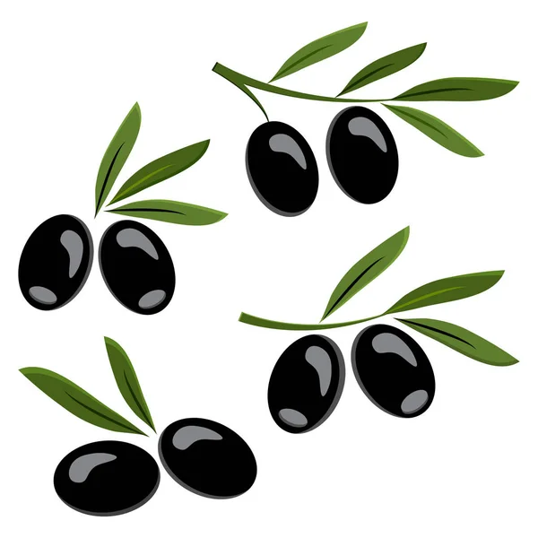 ブラック オリーブの色のセット ベクトル図 — ストックベクタ