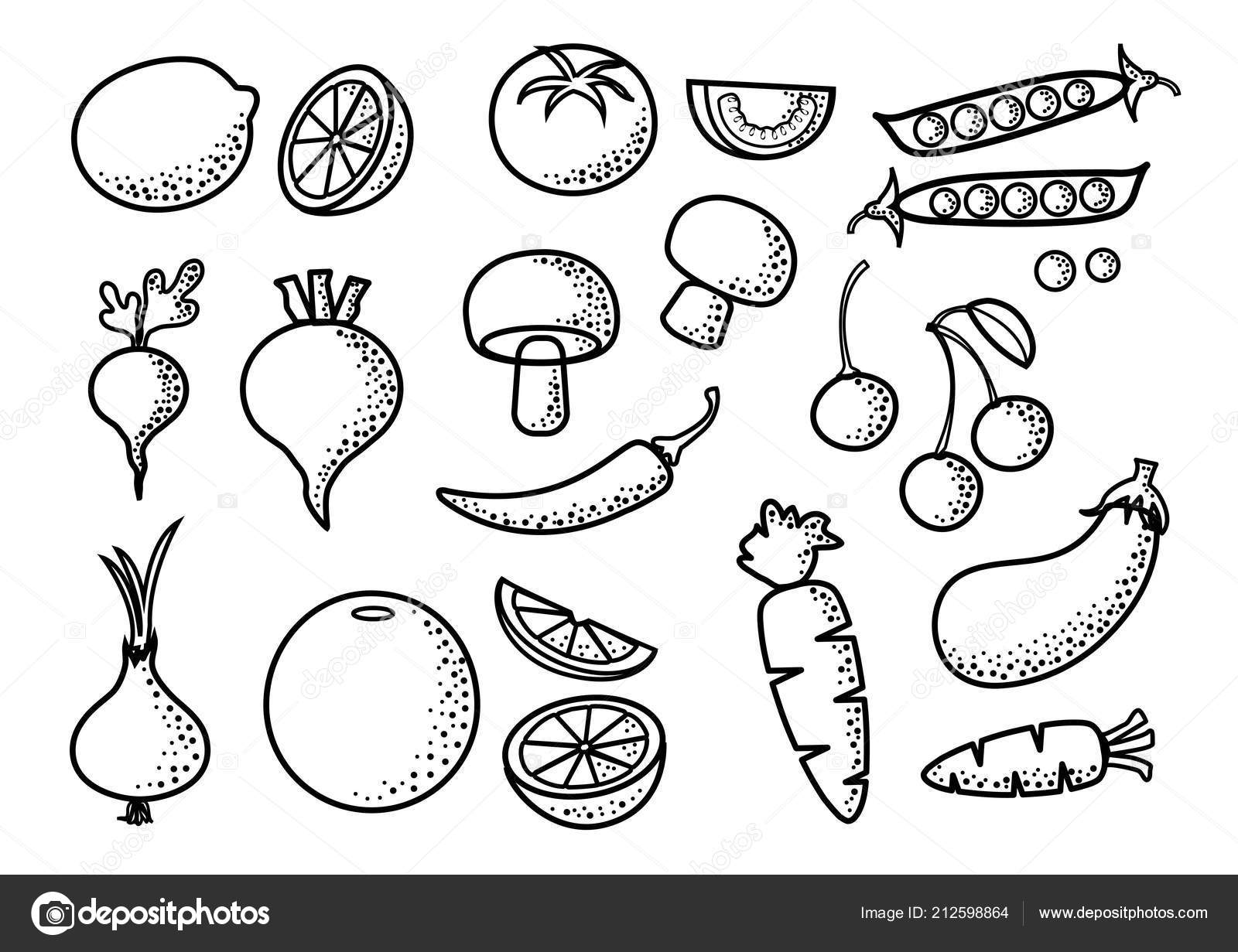 Black Outline Set Vegetables Fruits Vector Illustration Stock Vector by  ©Sylfida 212598864, image size:1600x1231