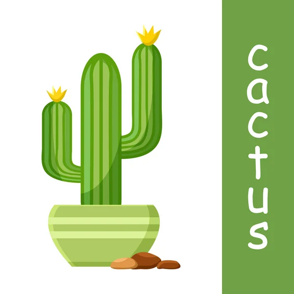 Cacto Maceta Con Guijarros Cactus Floreciente Ilustración Vectorial — Archivo Imágenes Vectoriales