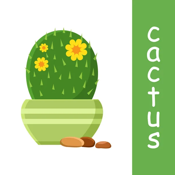 Cacto Maceta Con Guijarros Cactus Floreciente Ilustración Vectorial — Archivo Imágenes Vectoriales