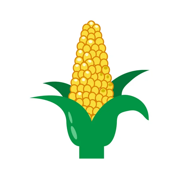 玉米芯和叶子 矢量插图 — 图库矢量图片