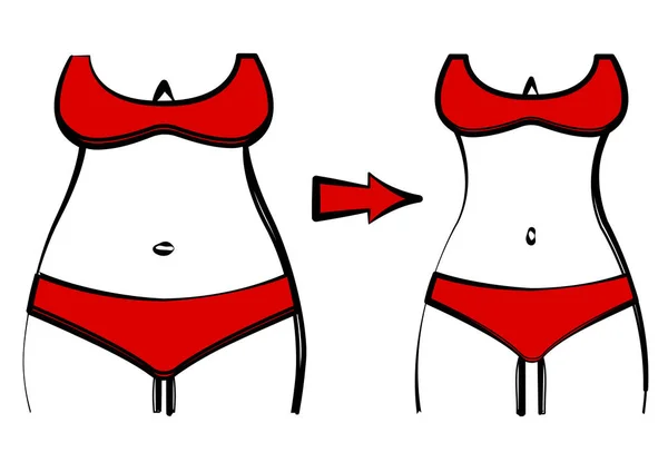 肥胖和苗条的女人在红色泳装的身影 在体重下降之前和之后 女性身体剪影 矢量插图 — 图库矢量图片