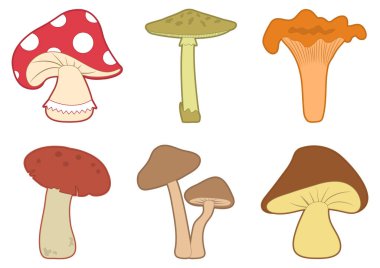 Renkli mantar set vektör. Farklı mantar.