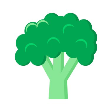 Renkli brokoli. Vektör çizim