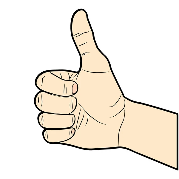 Thumb Εικονογράφηση Χέρι Διάνυσμα — Διανυσματικό Αρχείο