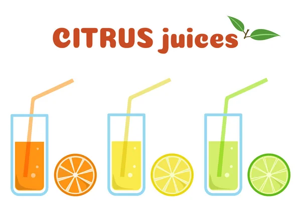 Citrus Juices Glasses Fruits Colorful Set Vector Illustration — Stock Vector