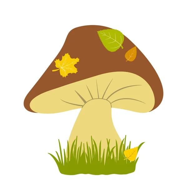 Mushroom Grass Colored Autumn Illustration Vector Illustration — Stock Vector