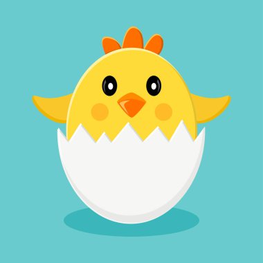 Sevimli civciv de yumurta kabukları. Vektör çizim