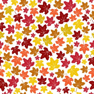Sonbahar renkli akçaağaç ile Seamless modeli üzerinde izole beyaz arka plan bırakır. Vektör çizim