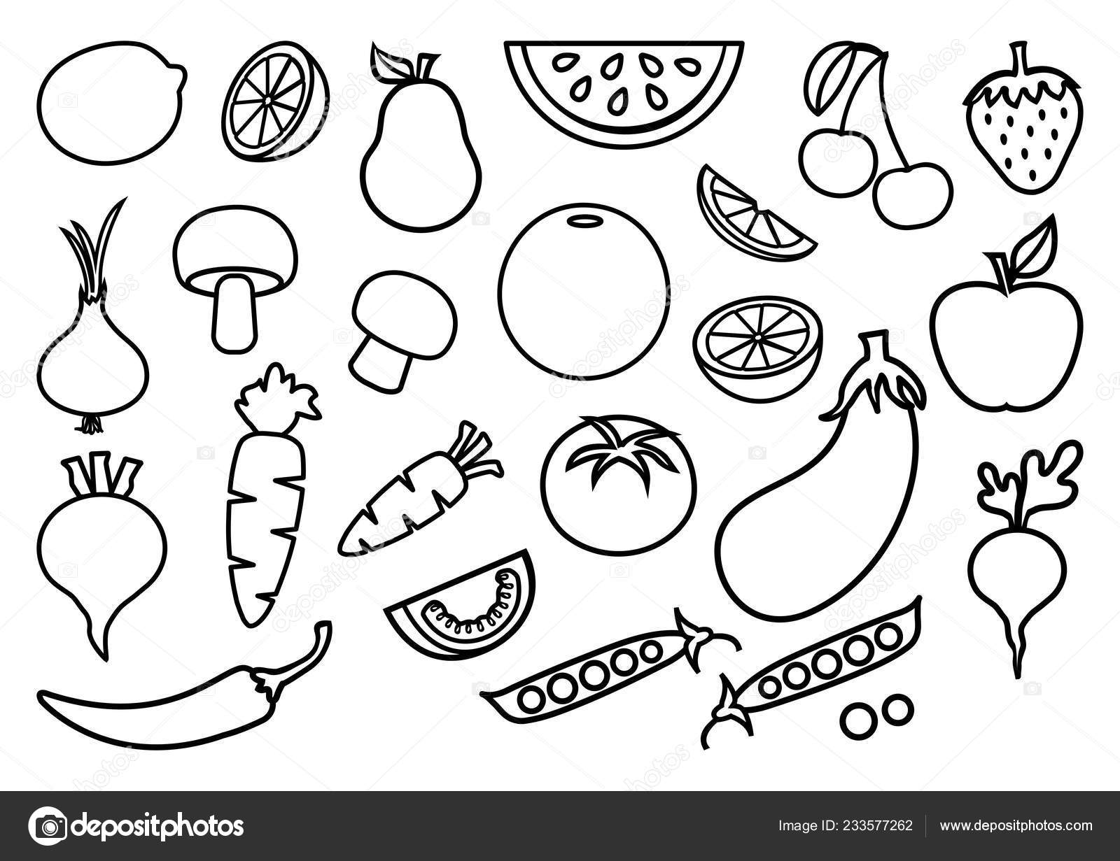 Conjunto de vegetais, desenho ilustração design