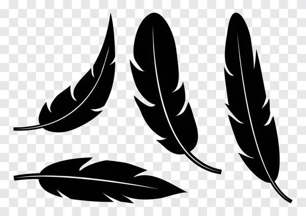 Set Black Feather Isolated Transparent Background Vector Illustration — Stock Vector