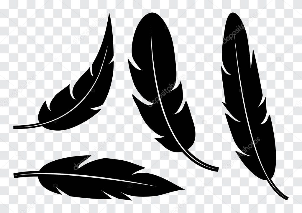 Set of black feather isolated on transparent background. Vector illustration