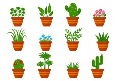 Set of houseplants in pots, indoor flowers. Vector illustration clipart