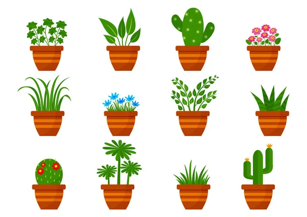 Conjunto de plantas de interior en macetas, flores de interior. Ilustración vectorial — Vector de stock