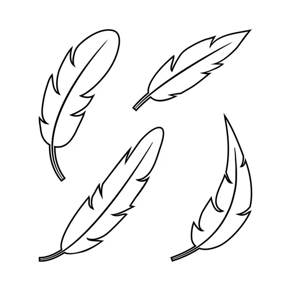 Conjunto de plumas, diseño de contorno negro. Ilustración vectorial — Archivo Imágenes Vectoriales