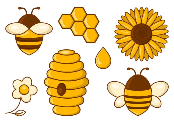 Méh készlet. Méz. Méhek, napraforgó, kamilla beehive méhsejt csepp vektoros illusztráció — Stock Vector