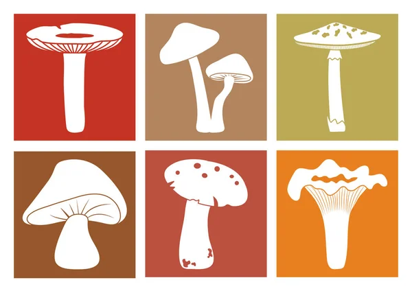 Icone di funghi colorati. Funghi dei cartoni animati diversi. Illustrazione vettoriale . — Vettoriale Stock