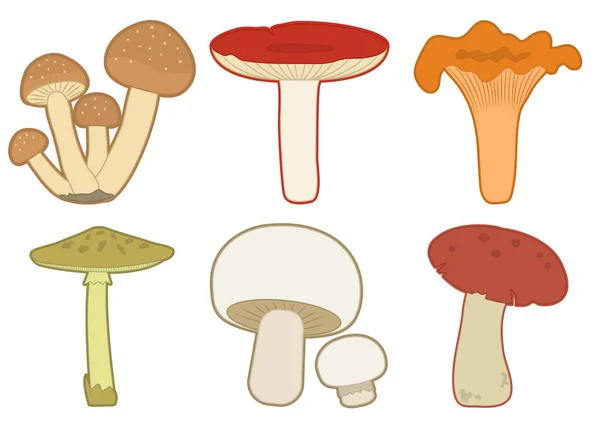 Set vettore funghi colorati. Funghi diversi . — Vettoriale Stock