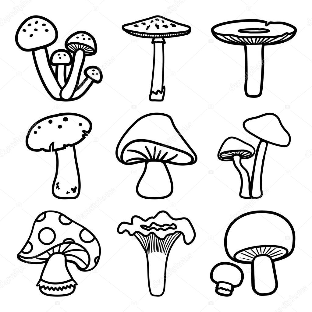 Black and white mushrooms set. Outline design. Different cartoon mushrooms. Vector illustration.