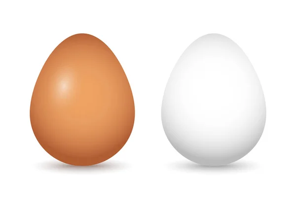 影の茶色と白の卵のセット。ベクトルイラスト — ストックベクタ