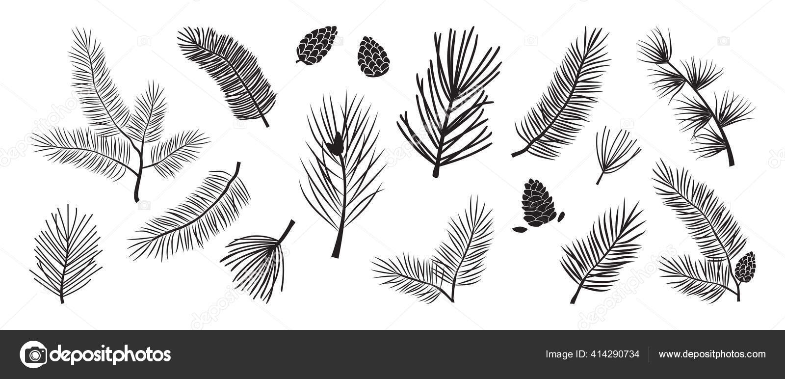 크리스마스 트리의 전나무와 솔방울 상록수 상징들이 배경에 분리되어 자연의 스톡 벡터 - ©Sylfida 414290734, image size:1600x772