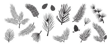 Noel ağacı dalları, köknar ve çam kozalakları, her zaman yeşil olanlar, bayram süslemeleri, beyaz arka planda izole edilmiş siyah kış sembolleri. Doğa çizimi