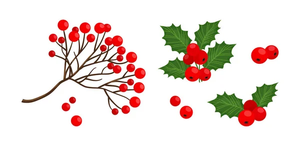 Holly Berry Red Rowan Berry Branch Icon Vector Christmas Symbols — Stock Vector