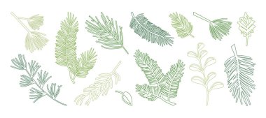 Kış çamı, köknar dalı ikonu. Noel ağacı ve yaprak tasarımı. Spruce iğnesi, bitkisel el çizimi, sedir dalı, düzenlenebilir vuruş, bg 'de izole edilmiş Xmas dekorasyonu. Vektör illüstrasyonu