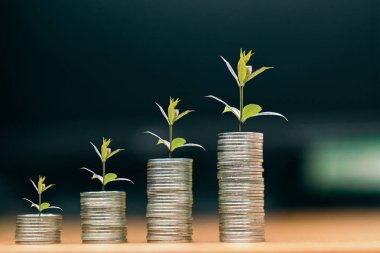 madeni para yığınları, para, tasarruf ve yatırım veya aile planlaması kavramının adımları.