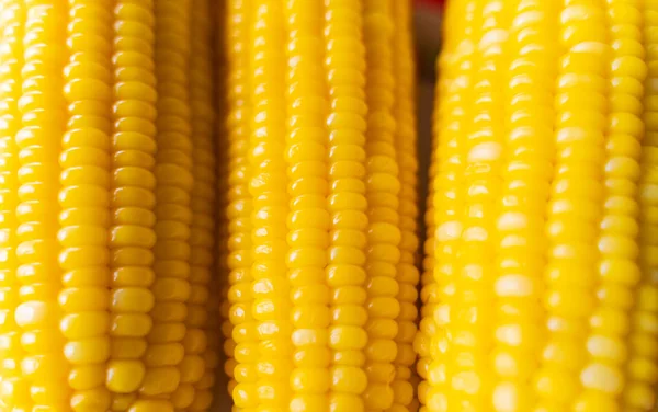 Три Свежих Кукурузы Белом Столе Крупный План — стоковое фото