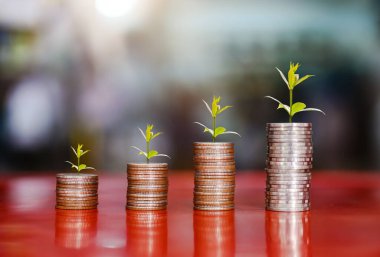tepesinde ağaç, para, tasarruf ve yatırım veya aile planlaması olan bozuk para yığınlarının basamakları.