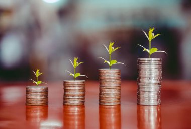 tepesinde ağaç, para, tasarruf ve yatırım veya aile planlaması olan bozuk para yığınlarının basamakları.