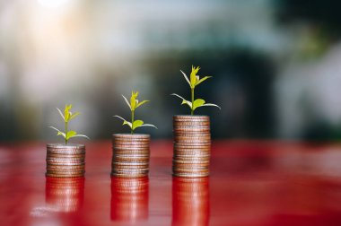 tepesinde ağaç, para, tasarruf ve yatırım veya aile planlaması olan bozuk para yığınlarının basamakları.