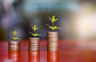 tepesinde ağaç, para, tasarruf ve yatırım veya aile planlaması olan bozuk para yığınlarının basamakları.