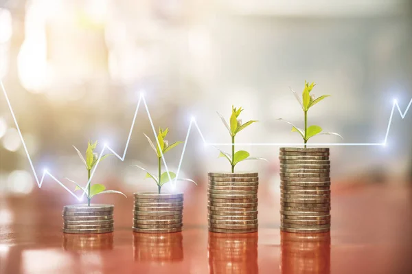 Tepesinde ağaç, doğa arka planı, para, tasarruf ve yatırım veya borsa veya ön plan ticaret grafiği ile iş planlaması konsepti olan madeni para yığınlarının adımları..