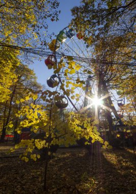 Cazibe güneşli, sıcak bir sonbahar günü 