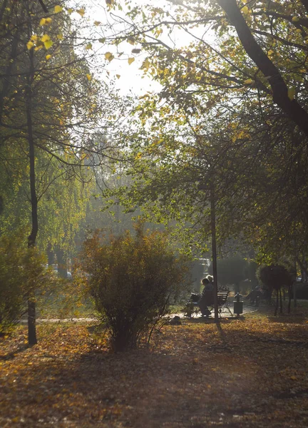 Прогулка Аллее Осеннем Парке Городе Ставрополь Россия — стоковое фото