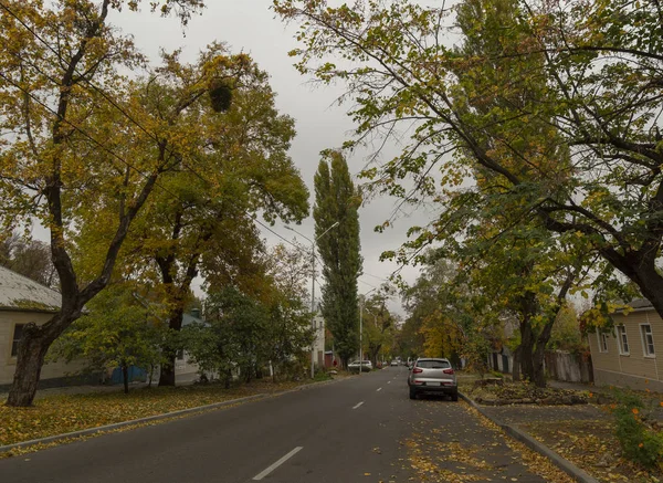 Вулиці Старого Міста Похмуру Погоду Восени Місті Ставрополь Росія — стокове фото