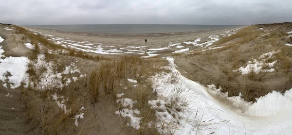 曇りの天気でリトアニアにクルシュー砂州にパノラマ ビュー冬の浜辺 — ストック写真