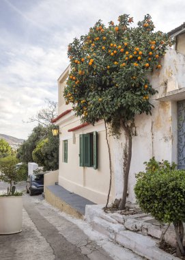 Atina, Yunanistan şehrinde Acropolis yakınındaki Anafiotika bölgesinin dar sokakta portakal ağacı