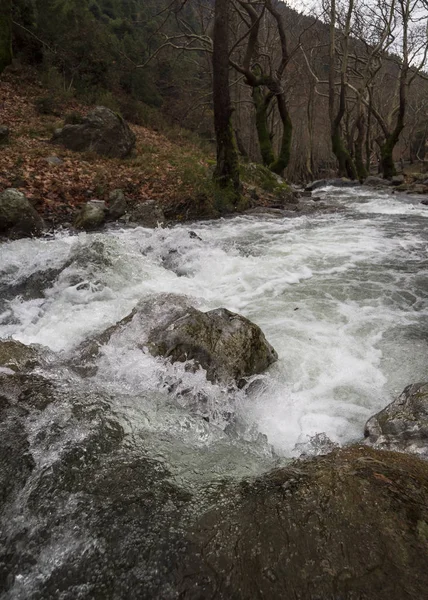 エヴィア ギリシャの島の Dirfis 山の原生林の水をオフに山岳急速な川 — ストック写真
