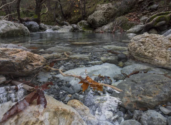 エヴィア ギリシャの島の Dirfis 山の原生林の水をオフに山岳急速な川 — ストック写真