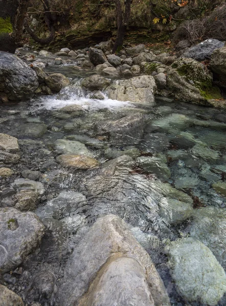 エヴィア ギリシャの島の Dirfys 山の原生林の水をオフに山岳急速な川 — ストック写真