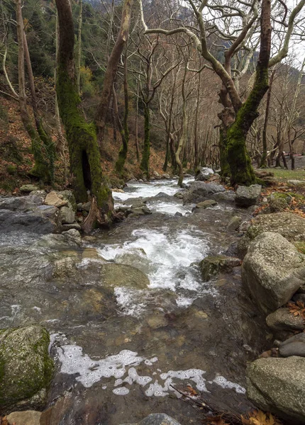 Río Rápido Montañoso Con Agua Clara Bosque Las Montañas Dirfys —  Fotos de Stock