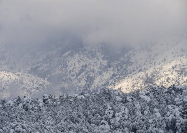 Lone eagle ve panoramik karla kaplı dağ Dirfys ve bulutlu gökyüzü güneşli bir günde Evia Adası Yunanistan