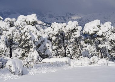 Kar panoramik dağ Dirfys ve bulutlu gökyüzü güneşli bir günde Adası, EVIA üzerinde Yunanistan kaplı